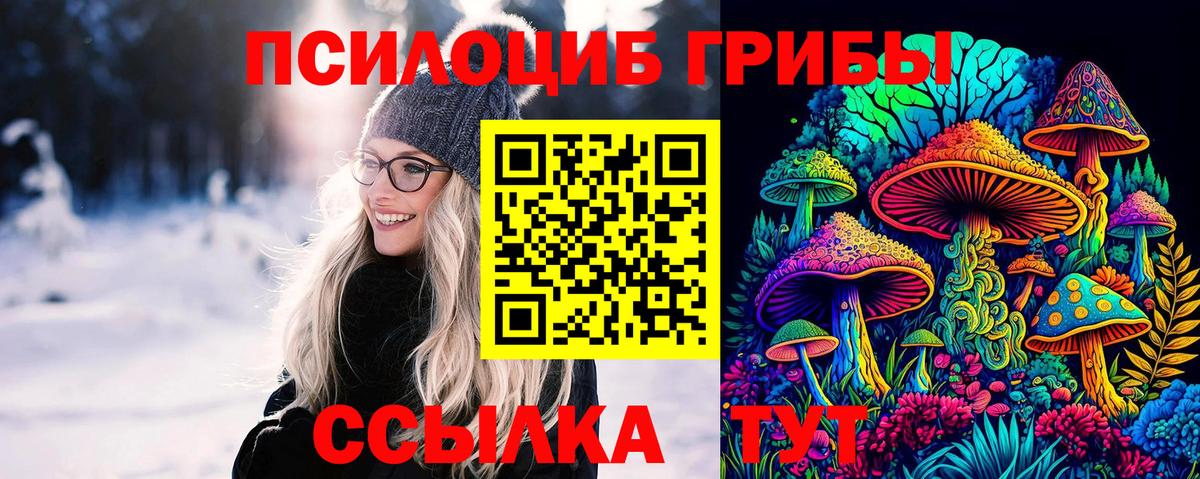 Галлюциногенные грибы MAGIC MUSHROOMS  Вход с VPN  Кемерово 